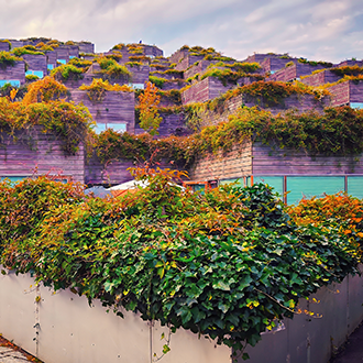 Billede af grøn arkitektur i København