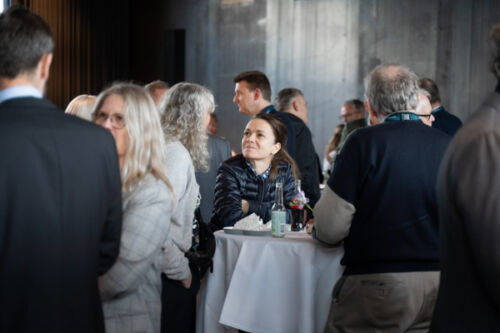 it-branchen-aarsmoede-2026-00450